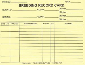 equine breeding record forms